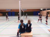 volley (1)